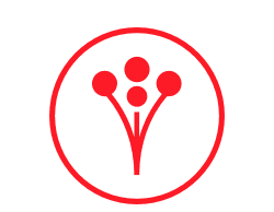 WeddingWire